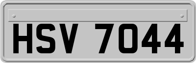 HSV7044