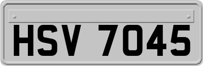 HSV7045