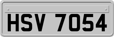 HSV7054