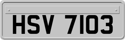 HSV7103