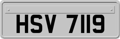 HSV7119