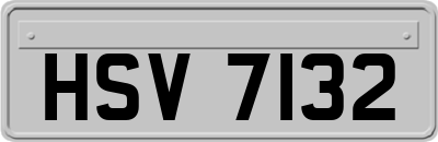 HSV7132