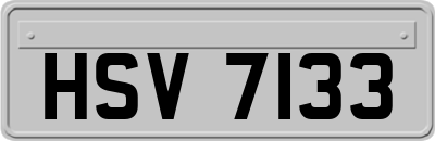 HSV7133