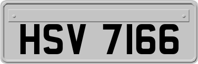 HSV7166
