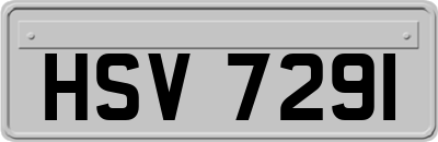 HSV7291