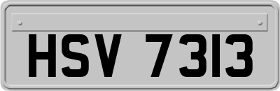 HSV7313