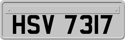 HSV7317