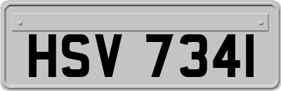 HSV7341