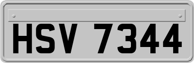 HSV7344
