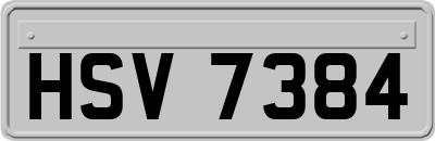HSV7384
