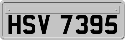 HSV7395