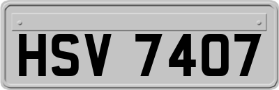 HSV7407