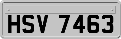 HSV7463