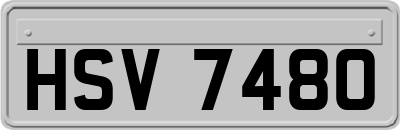 HSV7480