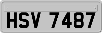 HSV7487