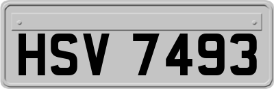 HSV7493