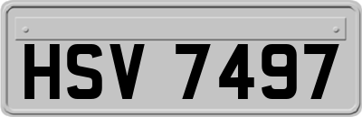 HSV7497