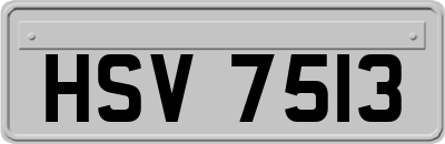 HSV7513