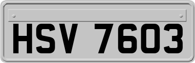 HSV7603