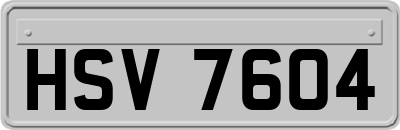 HSV7604