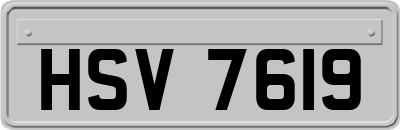 HSV7619