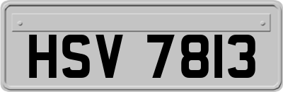 HSV7813