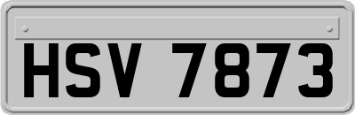 HSV7873