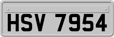 HSV7954
