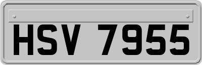 HSV7955