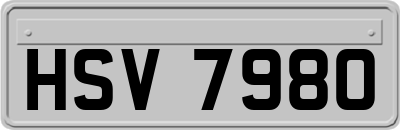 HSV7980