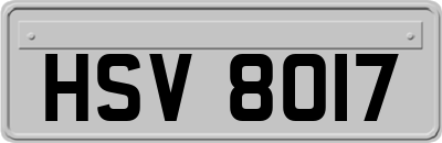 HSV8017