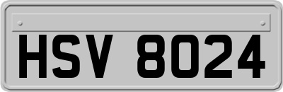 HSV8024