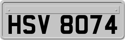 HSV8074