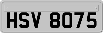 HSV8075