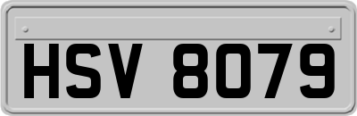 HSV8079
