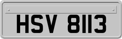 HSV8113