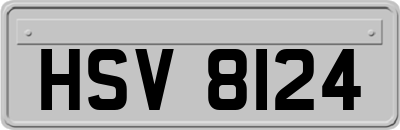 HSV8124