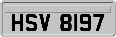 HSV8197