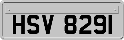 HSV8291