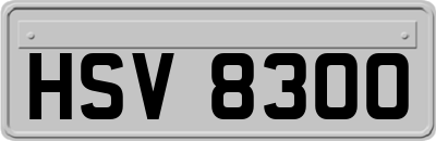 HSV8300