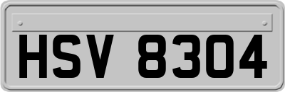 HSV8304