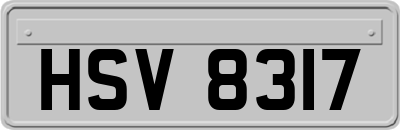 HSV8317