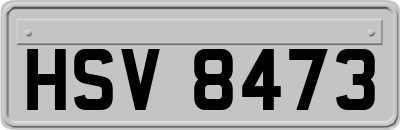 HSV8473