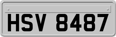 HSV8487