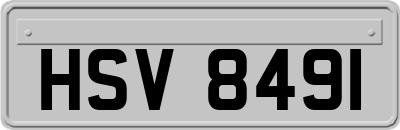 HSV8491