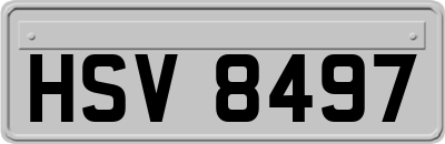 HSV8497