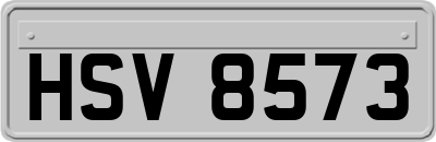 HSV8573