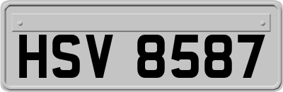 HSV8587