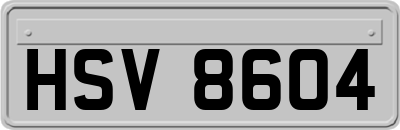 HSV8604