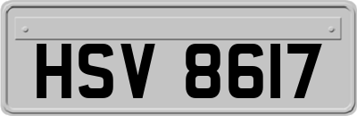 HSV8617